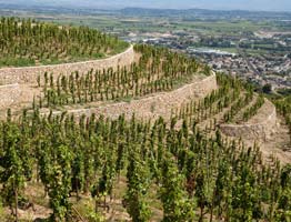 Côtes du Rhône
