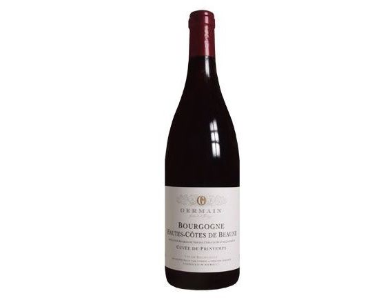 DOMAINE PHILIPPE GERMAIN BOURGOGNE Hautes Côtes de Beaune rouge 2006
