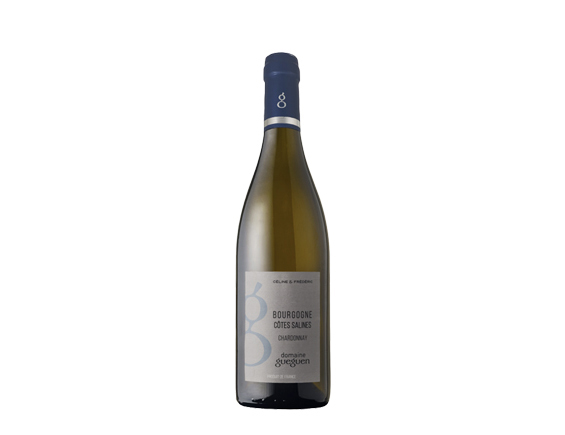 Domaine Gueguen Bourgogne Côtes Salines blanc 2022