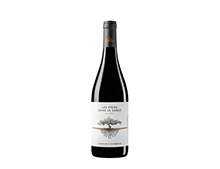 Domaine de la Pointe les Pieds Dans le Sable Rouge 2023