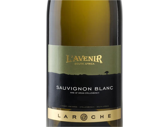 Vin d'Afrique du Sud Laroche Domaine L'Avenir Sauvignon blanc 2008