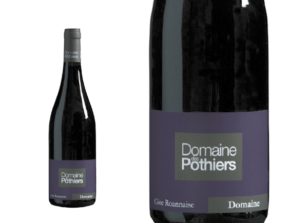 Domaine des Pothiers Cuvée Domaine 2023 
